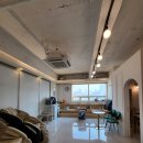 필라펠리스 이미지