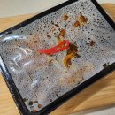 용인닭발순대 이미지