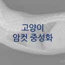 희영메디칼 이미지