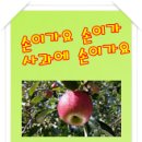 호야네농장 이미지
