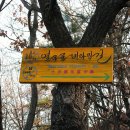 부평구 비타민길 이미지