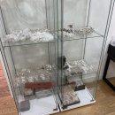 토탈장식