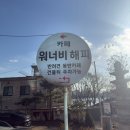 남양주 애견동반카페 워너비해피 후기