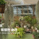 꽃노리터 이미지