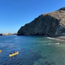 New Ocean Media