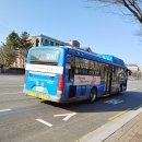 세운버스 이미지