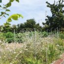 덕이 농장 이미지