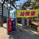 [횡재가] 8/9(일) 1만평의 보라색 물결!! [평창 버베나+강릉 경포대] -접수중 이미지