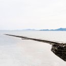 태평