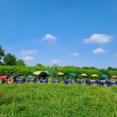 태산목장 이미지