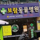 보람동물병원 | 광진구 군자동 동물병원 보람동물병원 진료시간 접근성 이용후기