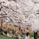 숲속쉼터옆 이미지