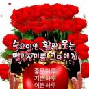 풀풀풀