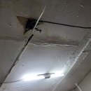 장수서창동-30 이미지