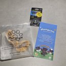 멍발머리 | 소형견도 목줄착용 가능! 멍템 팔레트 마틴게일 목줄 사용 후기