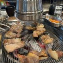 고고돼지 이미지