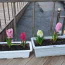 군산시니어클럽 이미지