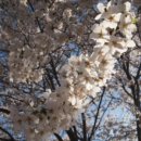 물안골마을 이미지