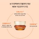 아이노믹스디자인 | 설화수 자음생아이크림 l 설화수자음생크림 사용 후기