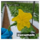 창녕 카페 커피 디저트가 맛있는 카페귀촌