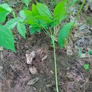 천종농장 이미지