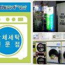 크린토피아민락 이미지