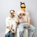 내 품 안의 반려견 마포점 | 서울 셀프사진관 오디티모드 마포점 후기