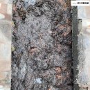 주식회사가람건설 이미지