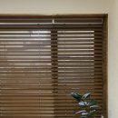 스테이우드 이미지