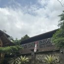 동상빌라 | 리얼발리감성 발리우붓풀빌라 우붓 라야 리조트 발리가성비풀빌라후기