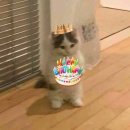 우럼마김밥 | 대구 임영웅콘서트 1일차, 여수 불꽃축제, 나트랑 여행까지 ***