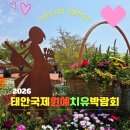 국제박람회여행사주 | 태안 안면도 가볼만한곳 2026 태안국제원예치유박람회 5월 가족여행 추천 후기