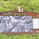 레포밸리 이미지