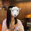 장싸롱 리저브 이미지