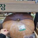 신교하농협 하나로마트 이미지