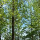 더오크라 | [양재/양재천] 내돈내산 ‘오크라’ 평일 오후 3시 방문 후기🍀