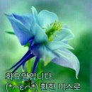 화사한날