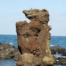 제주 비양도 호니토 이미지