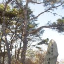 여원치 이미지
