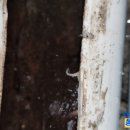 미음산단로 이미지