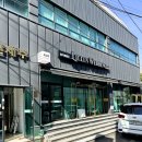 꿈인제주프로젝트 | 제주웨딩스냅 후기 :: 벚꽃부터 바다까지, 충신사에서 남긴 제주커플스냅