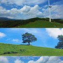 금학목장 이미지