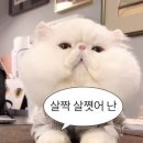 (주)누림푸드 | 9월 일상 ..레츠고 (별거 없음)