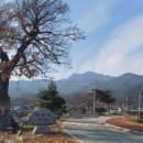 죽동마을회관앞 이미지