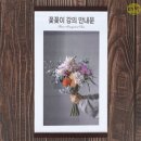 디비다 이미지