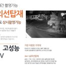 나비랑 바둑이 이미지