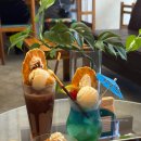 양말코히 이미지