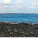 신천목장 이미지