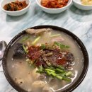 태희자연농장 | 6월초 제주