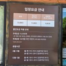 아빠곰엄마곰약방 | 대전 근교 아이랑 가볼만한 곳 세종 베어트리파크 곰 먹이주기 체험 후기